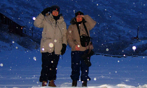 SnowStorm SnowStorm