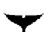 Fin Whale Fin Whale