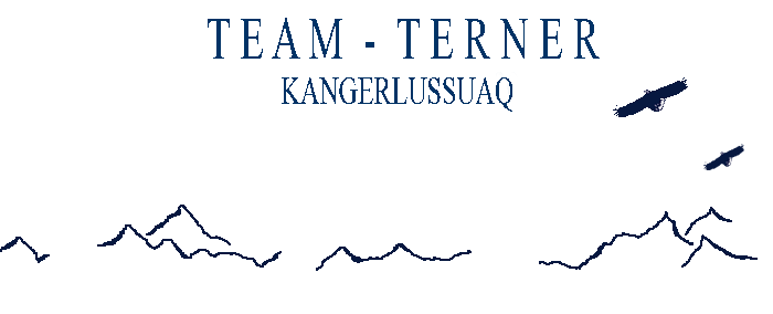 Team Terner Team Terner